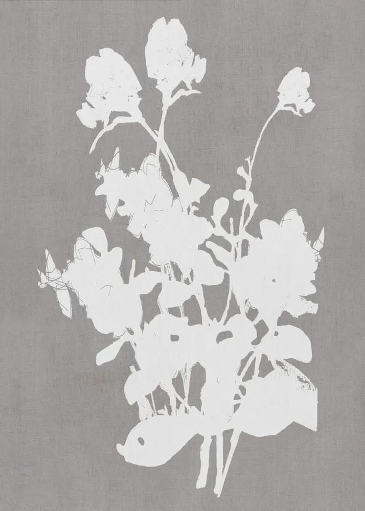 Wall art Botanical Illustration 3 by Cartissi