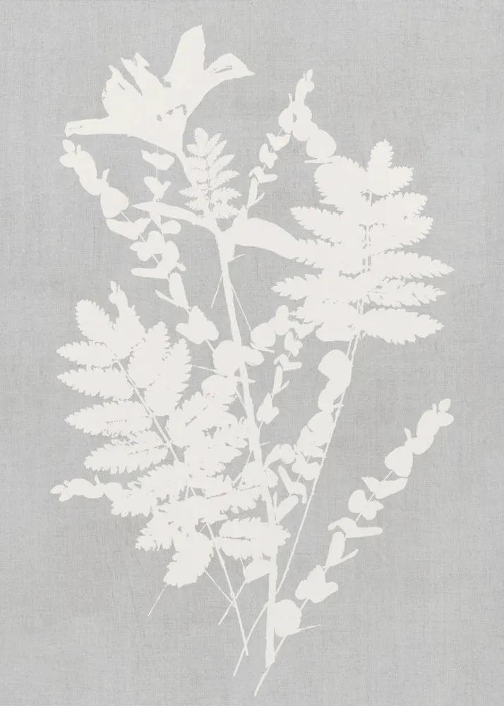 Wall art Botanical Illustration 5 by Cartissi