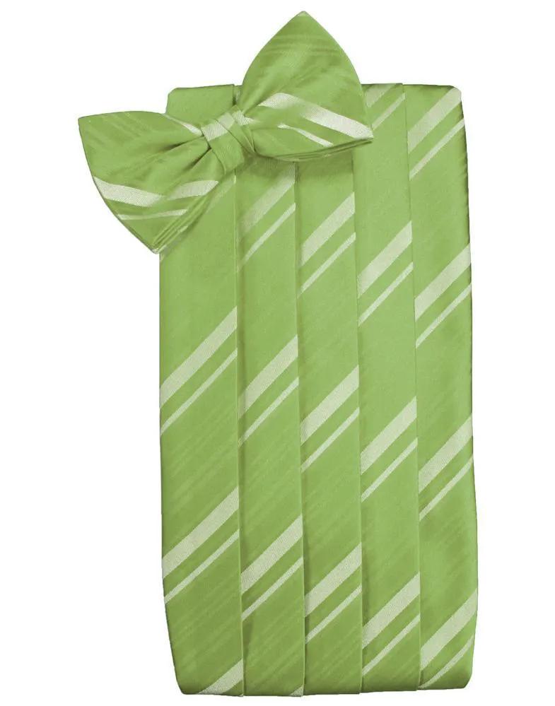 Set Striped Satin Cummerbund & Bow Tie by Tux-USA
