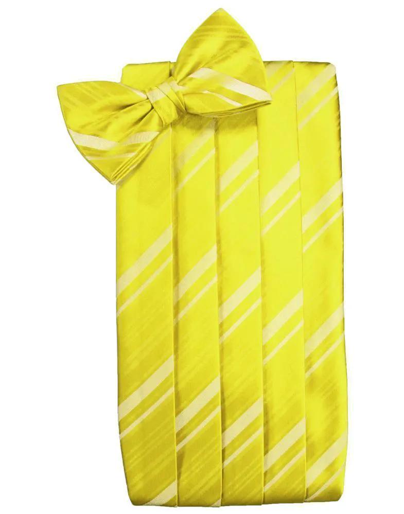 Set Striped Satin Cummerbund & Bow Tie by Tux-USA