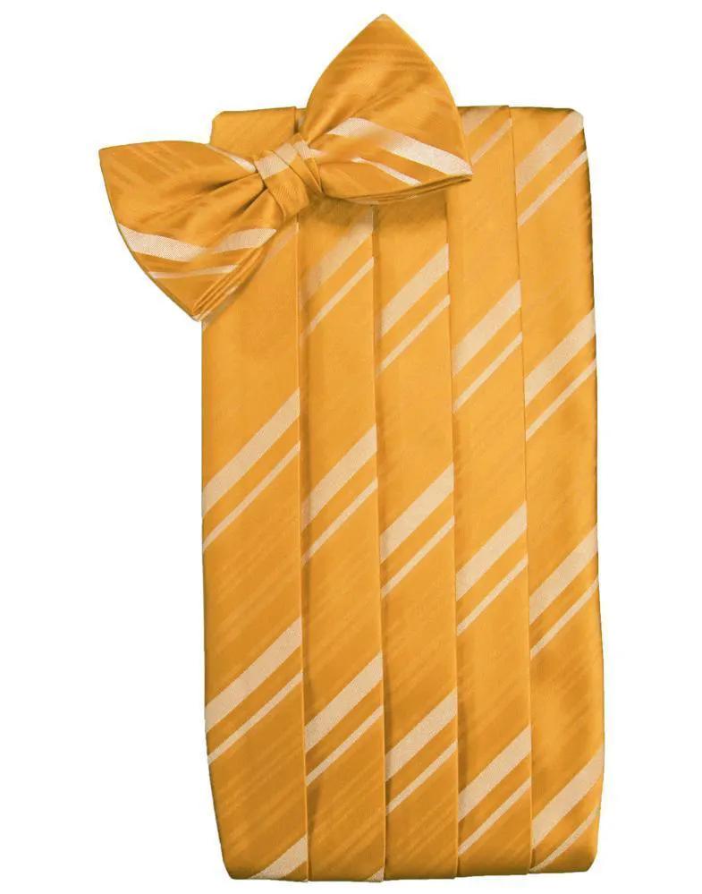 Set Striped Satin Cummerbund & Bow Tie by Tux-USA