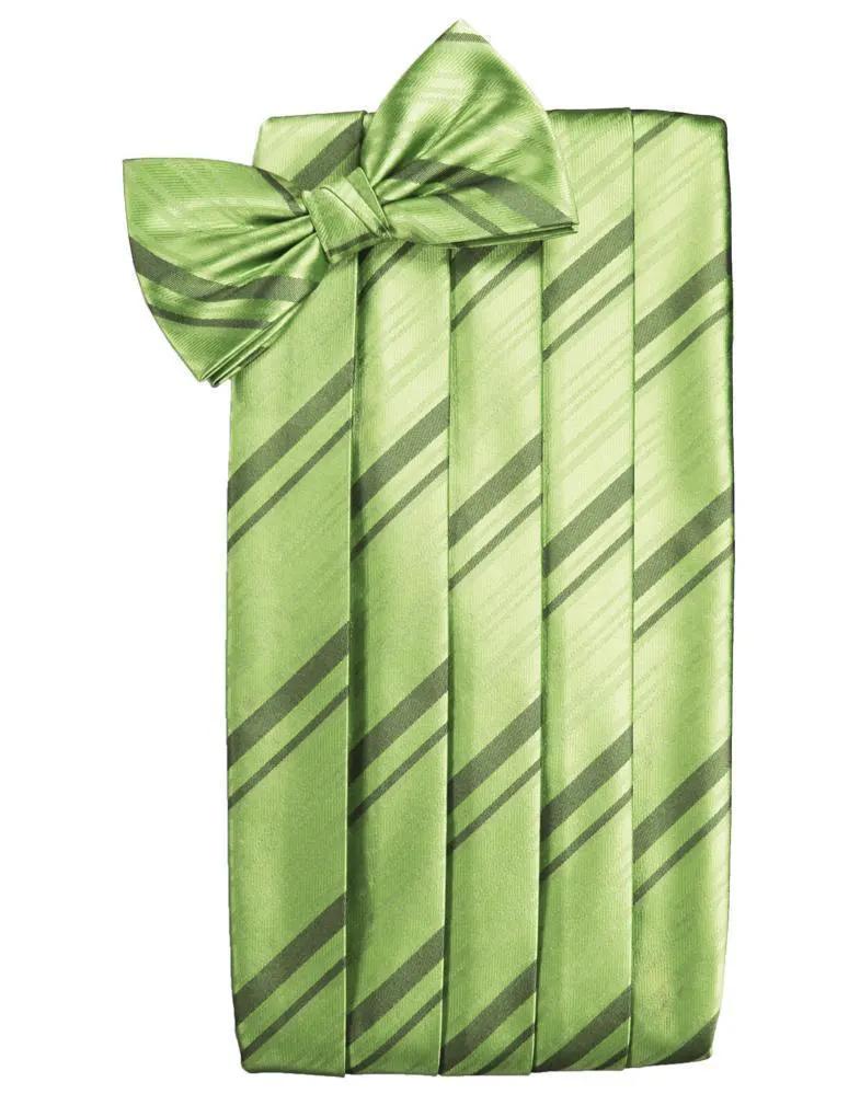 Set Striped Satin Cummerbund & Bow Tie by Tux-USA