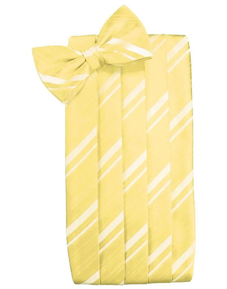 Set Striped Satin Cummerbund & Bow Tie by Tux-USA