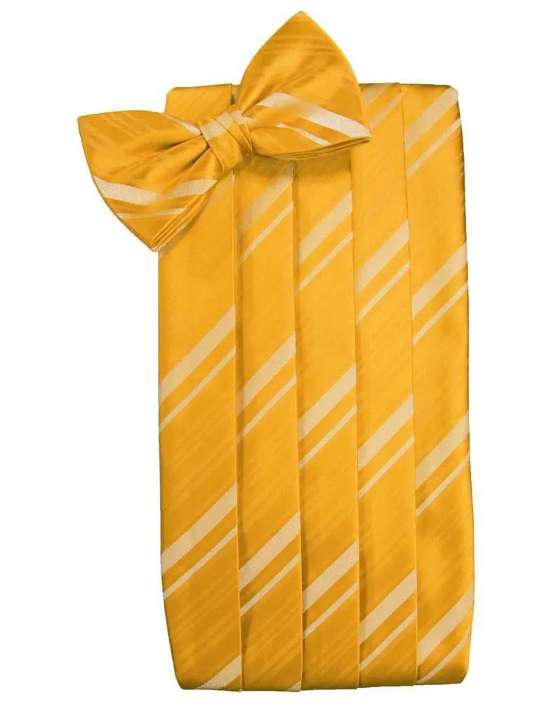 Set Striped Satin Cummerbund & Bow Tie by Tux-USA
