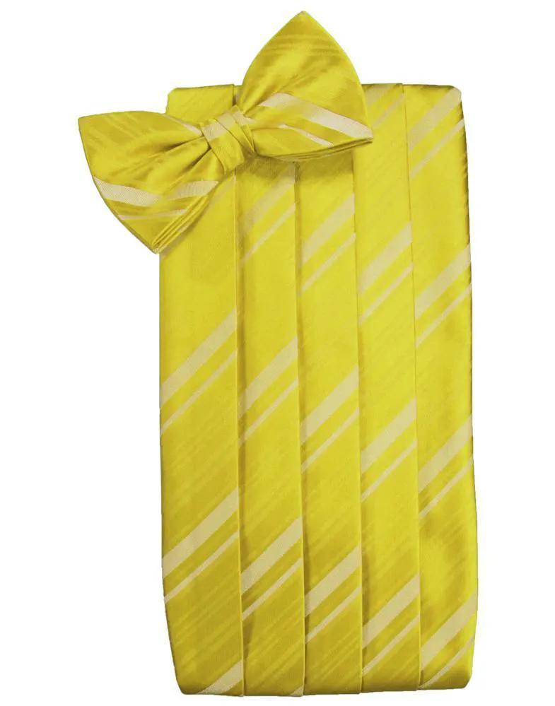 Set Striped Satin Cummerbund & Bow Tie by Tux-USA