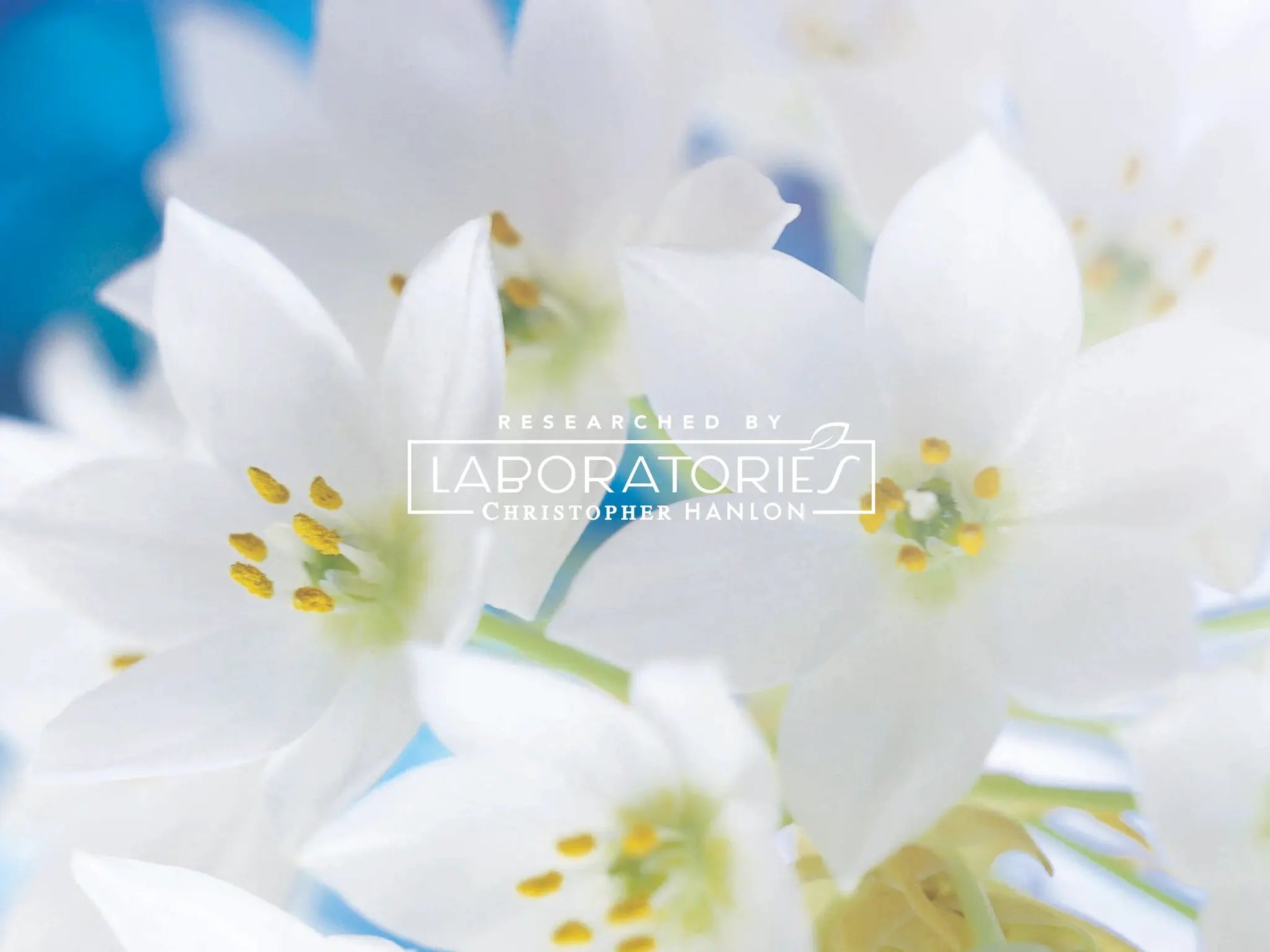GOAT MILK, KANGAROO HONEY + TEA TREE | HAIR + BODY LUXURY SHAMPOO by CHRISTOPHER HANLON®