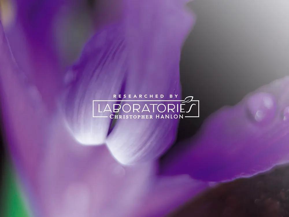 BODY + HAND WASH | LEMONGRASS + WARATAH by CHRISTOPHER HANLON®