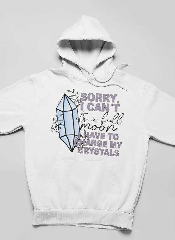 I Have To Charge My Crystals Hoodie by Merch