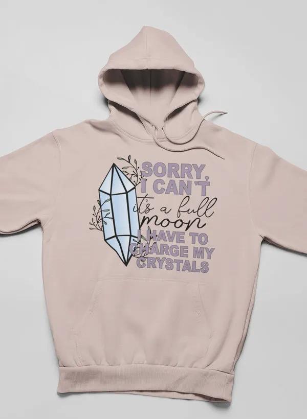 I Have To Charge My Crystals Hoodie by Merch