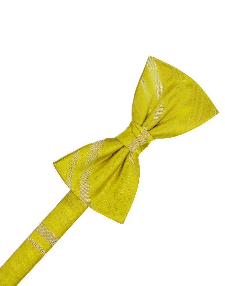Striped Satin Kids Bow Tie by Tux-USA