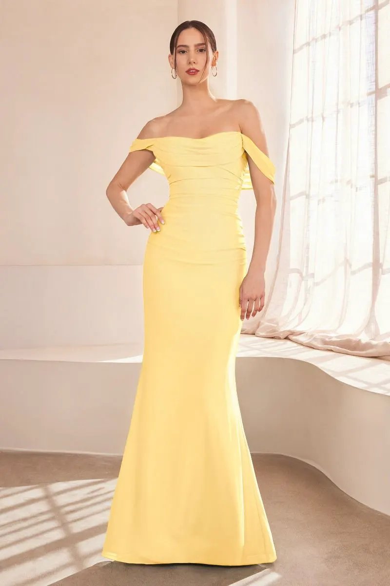 Off The Shoulder Round Neck Chiffon Fitted Dress by Tux-USA