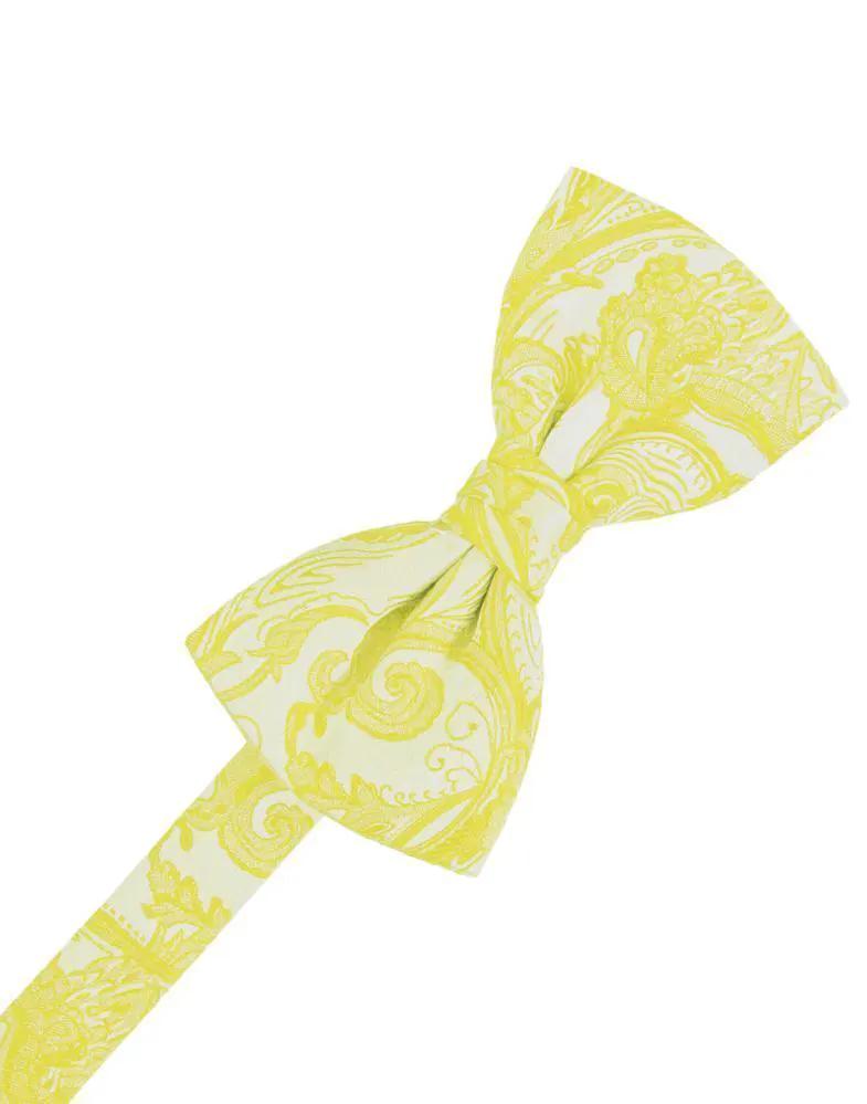 Tapestry Bow Tie Pre-Tied by Tux-USA
