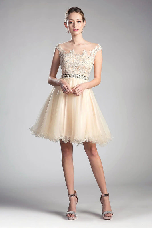 Beaded Lace Bodice Tulle Short Dress by Partner Label
