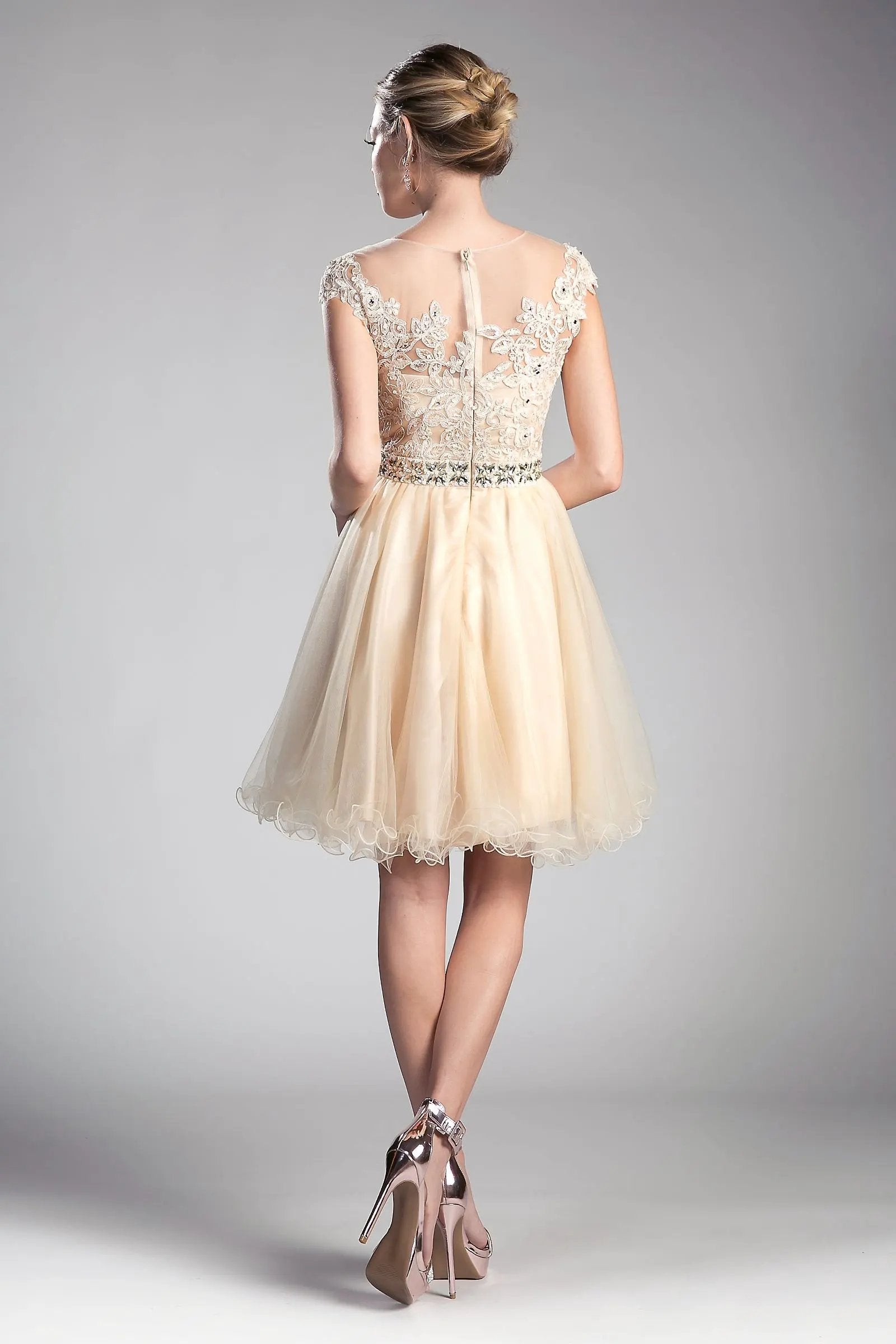 Beaded Lace Bodice Tulle Short Dress by Partner Label