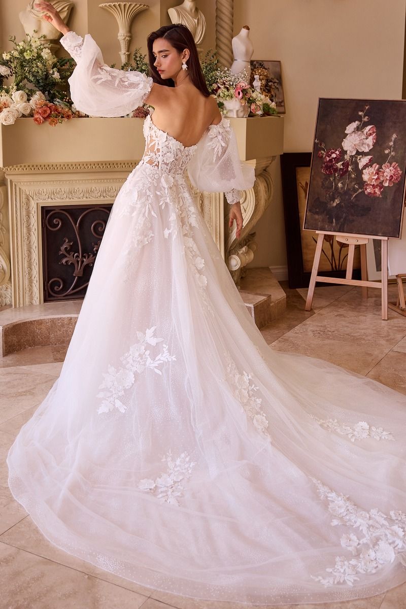 Lace Appliqued Wedding Ball Gown-2