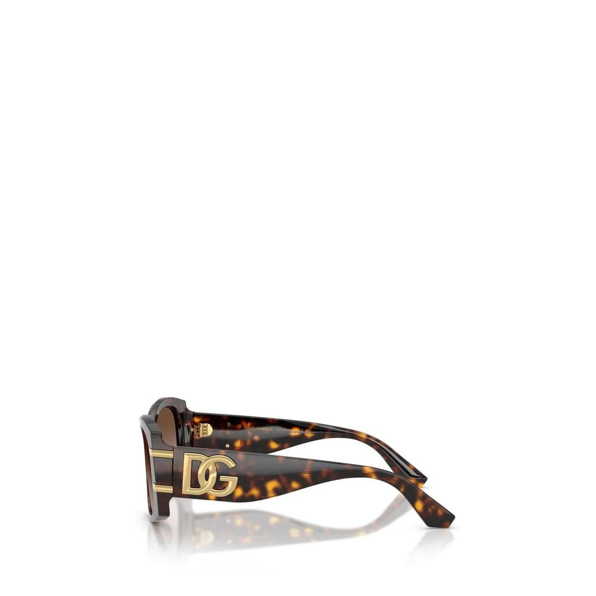 Dolce & Gabbana Women's Brown Sunglasses